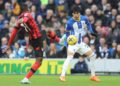 Mitoma sinks Bournemouth to ensure Brighton go sixth
