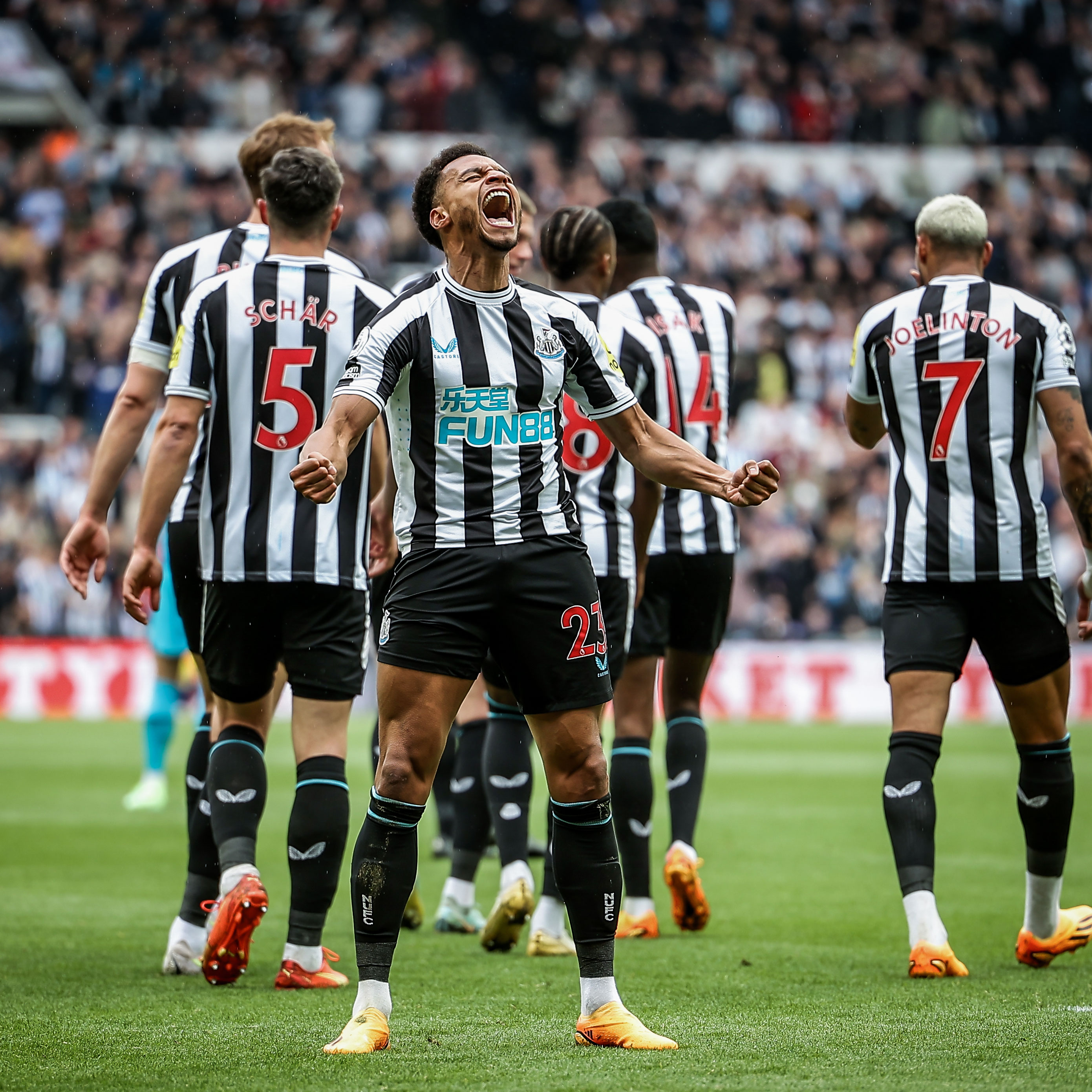 Premier League: Newcastle too good for Spurs in Champions League showdown