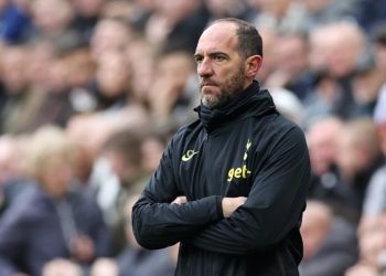 Tottenham sack Stellini after just four games