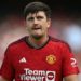 Harry Maguire: I can deal with hostile treatment